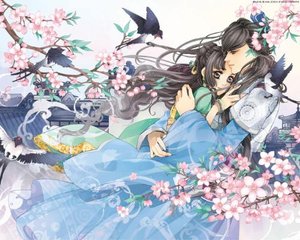 蜜芽跳转接口点击进入免费破解版